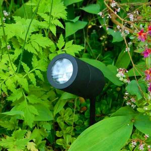 LED Uplight Garden Spike Light | Garden Lights