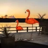 LED Acrylic Garden Decor Flamingo Feature