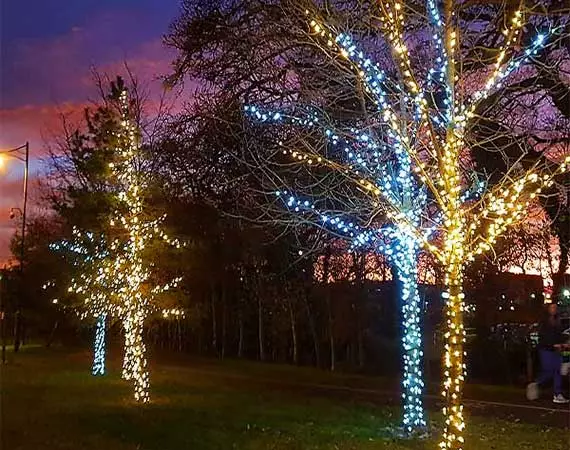 Outdoor Christmas Tree Lights