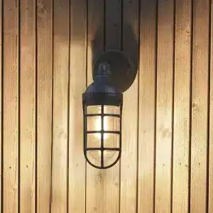 Cage design clear glass outdoor wall light in black finish