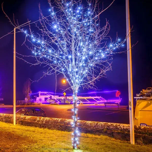 Connectable ice white outdoor Christmas lights white cable
