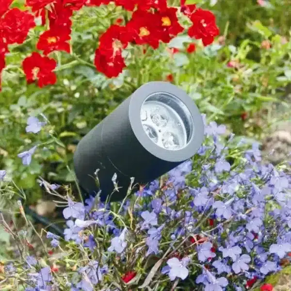 Mains Voltage Spike Lights