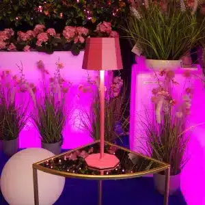 Rechargeable table lamp in pink colour for indoor and outdoor use