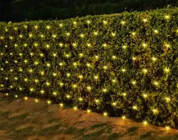 Net Lights