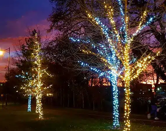 Outdoor Tree Lights
