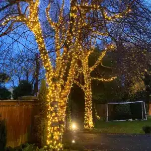 Christmas Lights