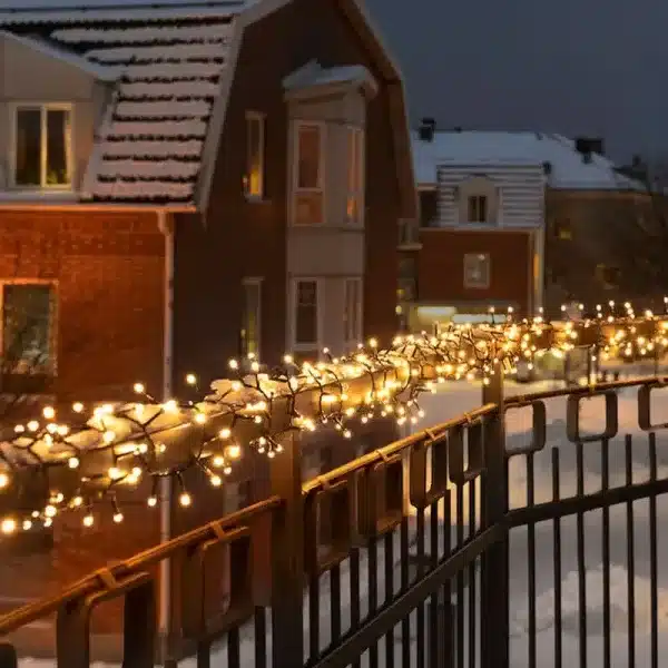 Cluster Christmas Lights