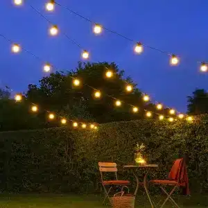 Festoon Lights