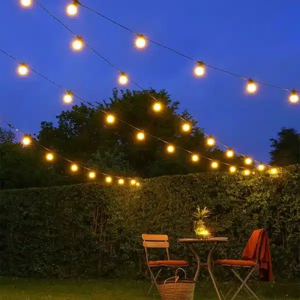 Festoon Lights