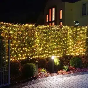 Net Lights