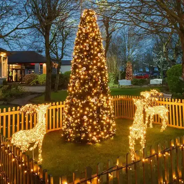 Outdoor Christmas Decorations