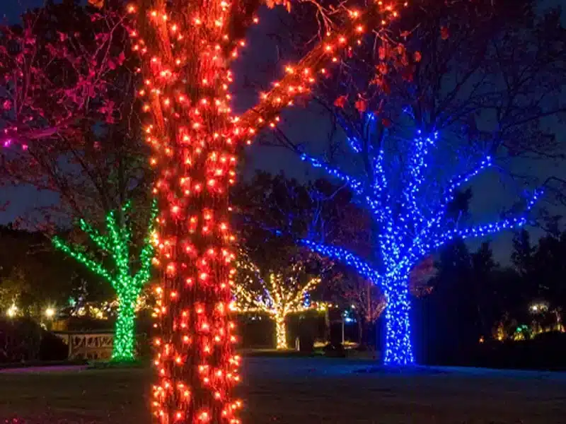 Connectable red green and blue outdoor Christmas LED string lights wrapped around trees