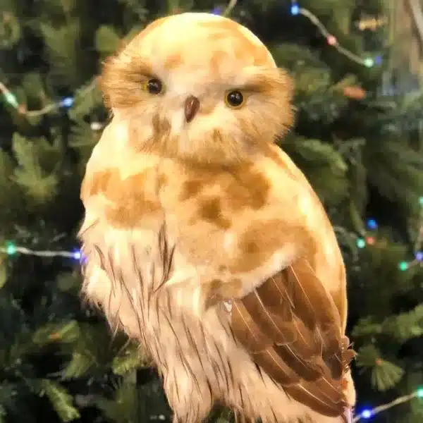 Furry owl in brown colour with smooth head design 50cm tall Christmas decoration close up